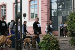 075-mainz-2013