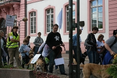 076-mainz-2013