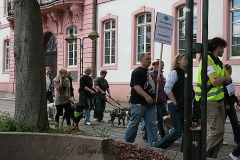 077-mainz-2013