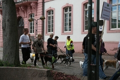 078-mainz-2013