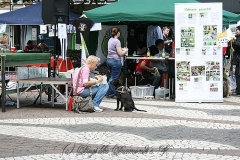 079-mainz-2013