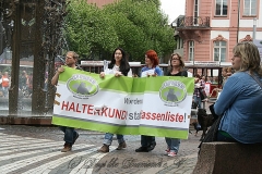 082-mainz-2013
