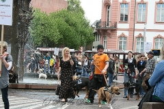 083-mainz-2013