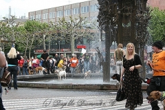 084-mainz-2013