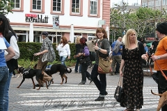 085-mainz-2013