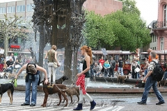 086-mainz-2013