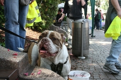 090-mainz-2013