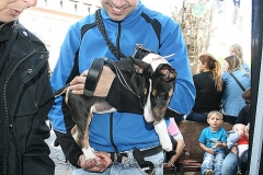 093-mainz-2013