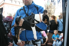 094-mainz-2013