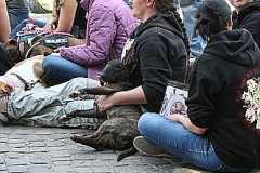 099-mainz-2013