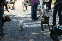 101-mainz-2013