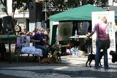 102-mainz-2013