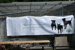 09-hochtaunus-2013 1