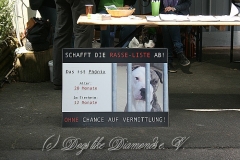 11-hochtaunus-2013 1