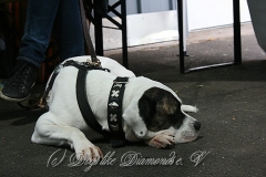 15-hochtaunus-2013 1