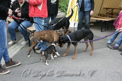 21-hochtaunus-2013 1